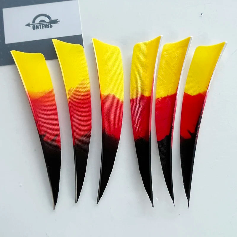 50 Pcs 4Inch Vanes Natural Turkey Feather Shield Cut Fletches Arrows Parts Archery DIY Accessories