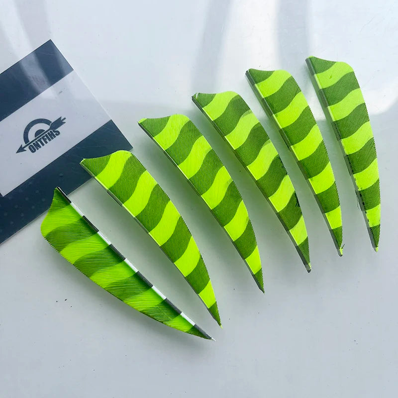 50PCS ONTFIHS 3" Shield Barred Arrow Feathers Fletchings RW LW