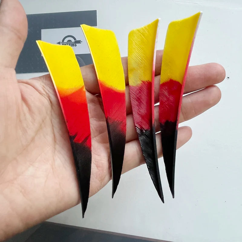 50 Pcs 4Inch Vanes Natural Turkey Feather Shield Cut Fletches Arrows Parts Archery DIY Accessories