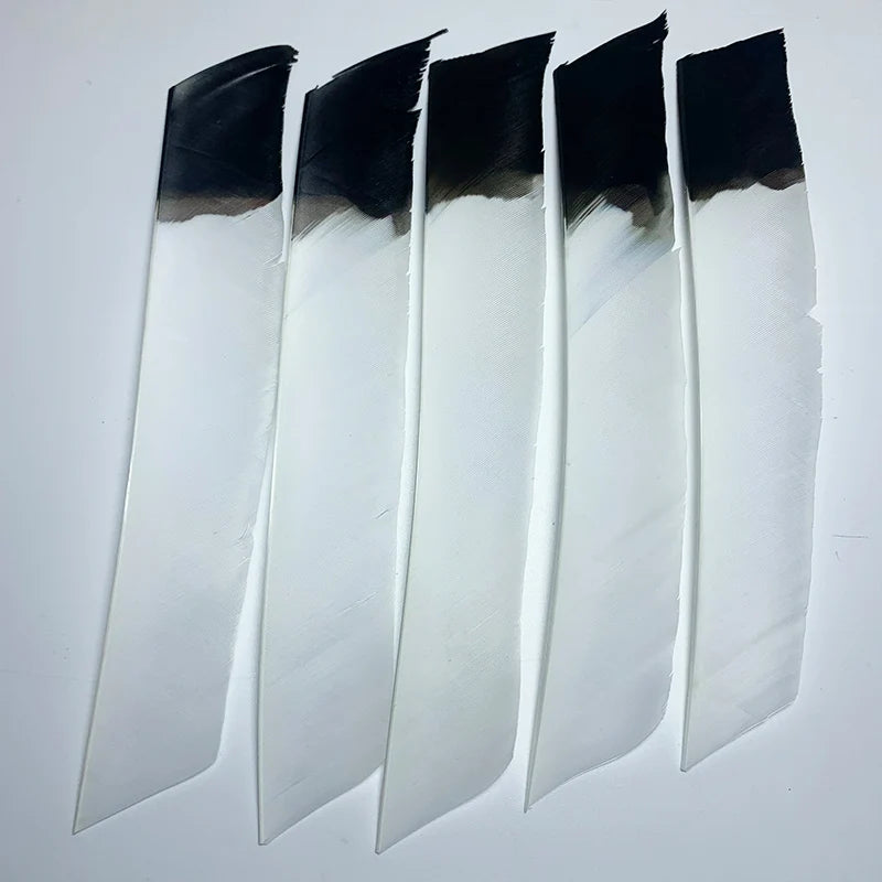 50Pcs Full Length (7-10 Inch) Archery Fletches Natural Turkey Feathers Hunting Arrow Fletching for Bow DIY Accessories