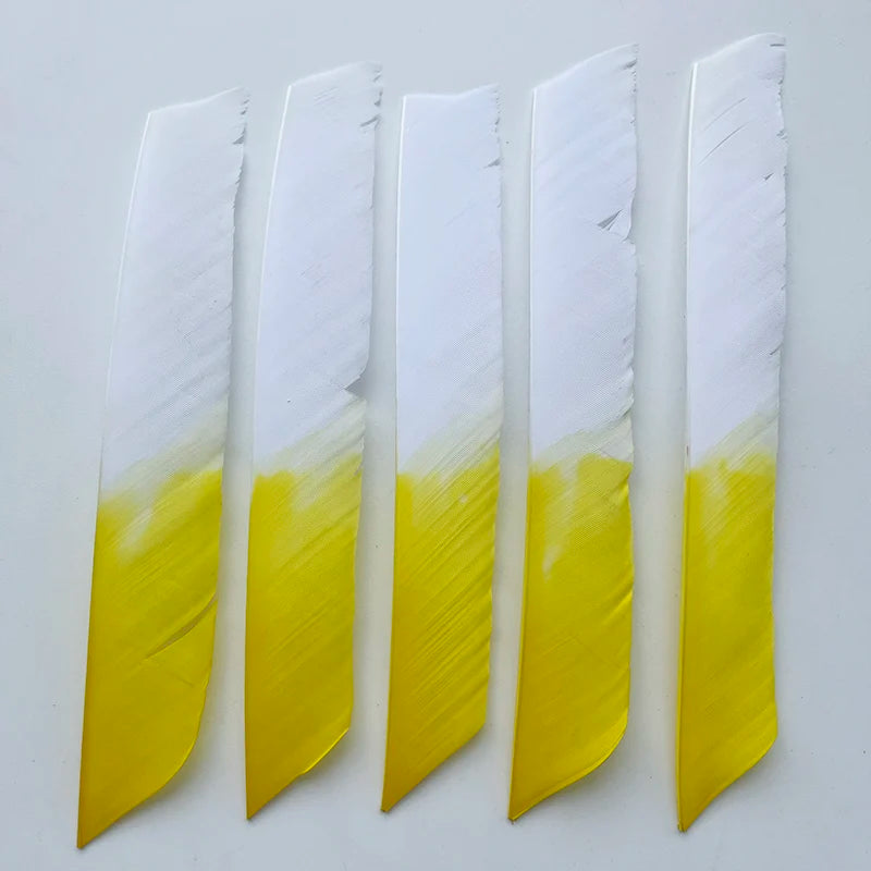 50Pcs Full Length (7-10 Inch) Archery Fletches Natural Turkey Feathers Hunting Arrow Fletching for Bow DIY Accessories