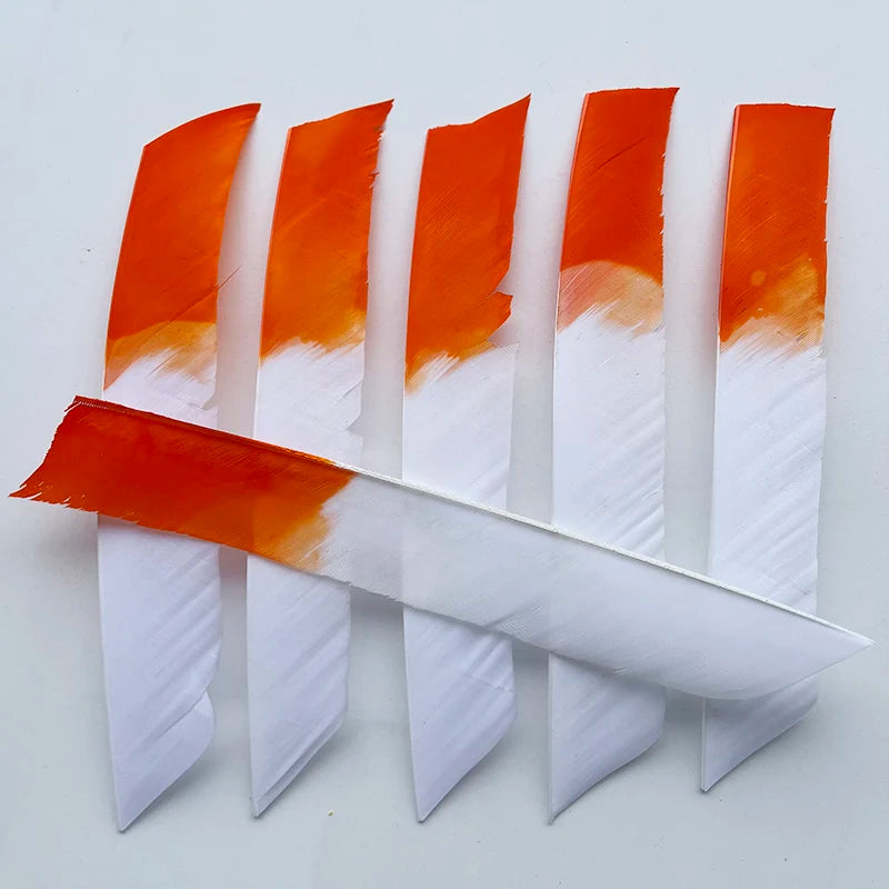 50Pcs Full Length (7-10 Inch) Archery Fletches Natural Turkey Feathers Hunting Arrow Fletching for Bow DIY Accessories