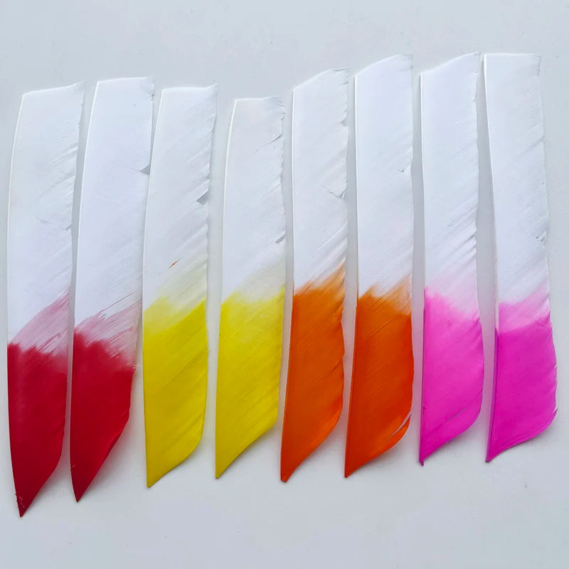50Pcs Full Length (7-10 Inch) Archery Fletches Natural Turkey Feathers Hunting Arrow Fletching for Bow DIY Accessories