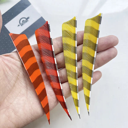 50 PCS 4" Shield Natural Barred Arrow Fletching Turkey Feathers Right /Left Wing