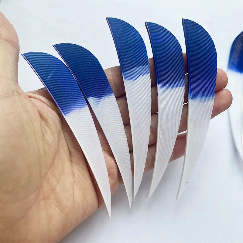 parabolic arrow feathers installed on archery arrows
