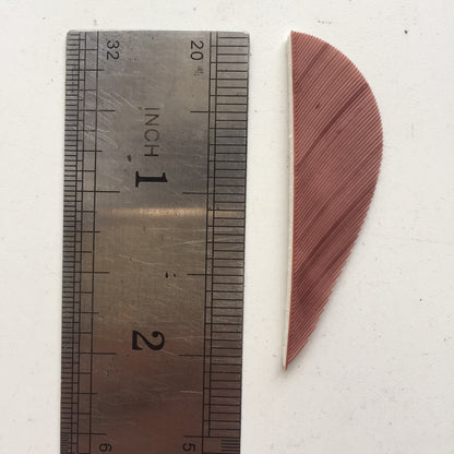 2 Inch Parabolic Turkey Feather Arrow Fletching – Solid Color Archery Feathers 50 Pack