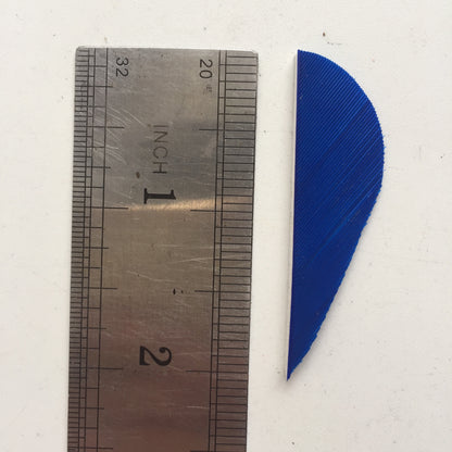 2 Inch Parabolic Turkey Feather Arrow Fletching – Solid Color Archery Feathers 50 Pack