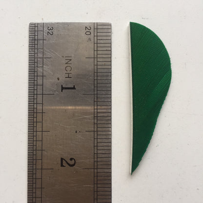 2 Inch Parabolic Turkey Feather Arrow Fletching – Solid Color Archery Feathers 50 Pack