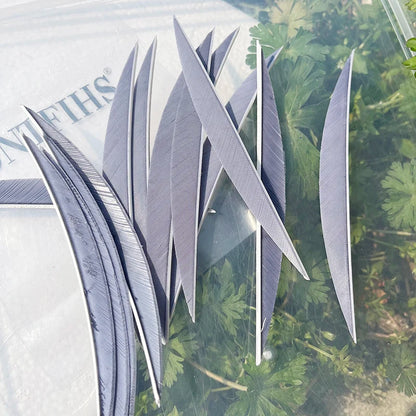 5 Inch Banana Arrow Feathers – Turkey Feather Archery Fletching | ONTFIHS