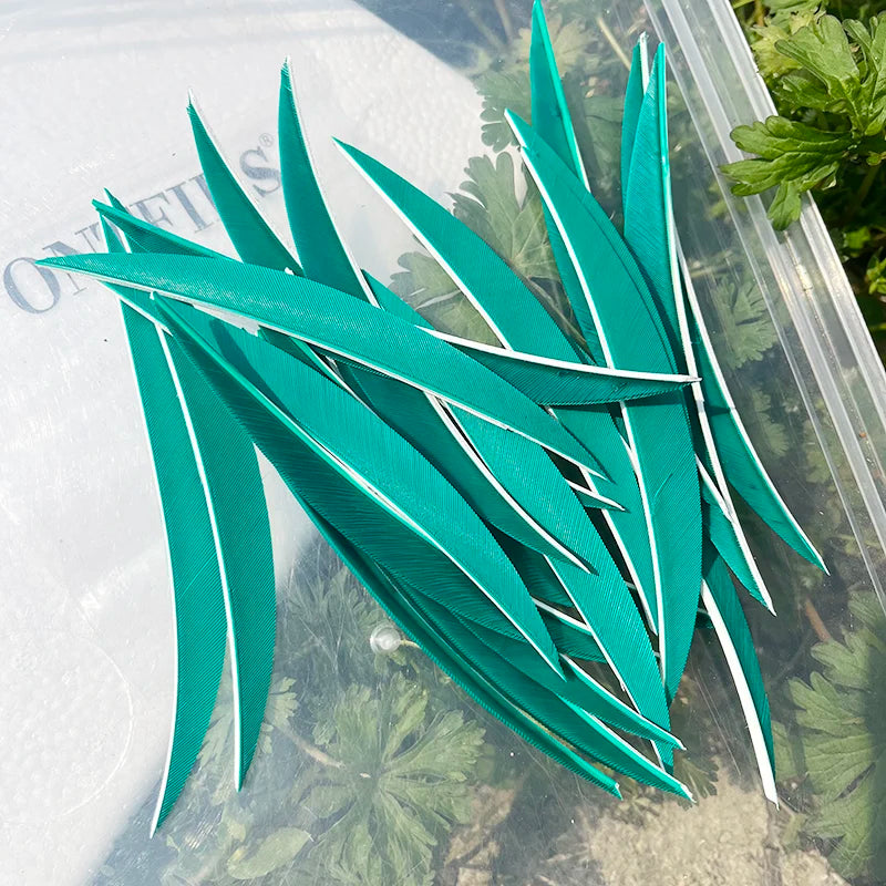 5 Inch Banana Arrow Feathers – Turkey Feather Archery Fletching | ONTFIHS