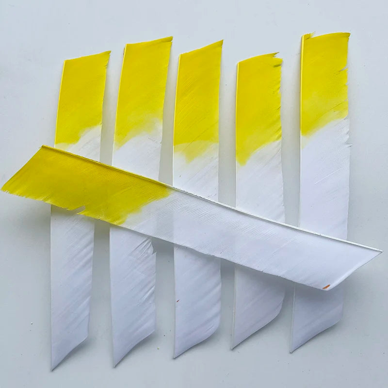 50Pcs  Full Length (7-10 Inch) Archery Fletches Natural Turkey Feathers Hunting Arrow Fletching for Bow DIY Accessories