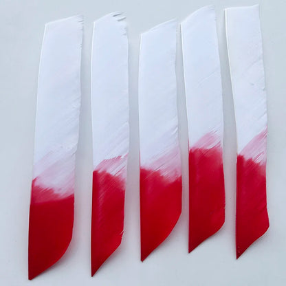 50Pcs  Full Length (7-10 Inch) Archery Fletches Natural Turkey Feathers Hunting Arrow Fletching for Bow DIY Accessories
