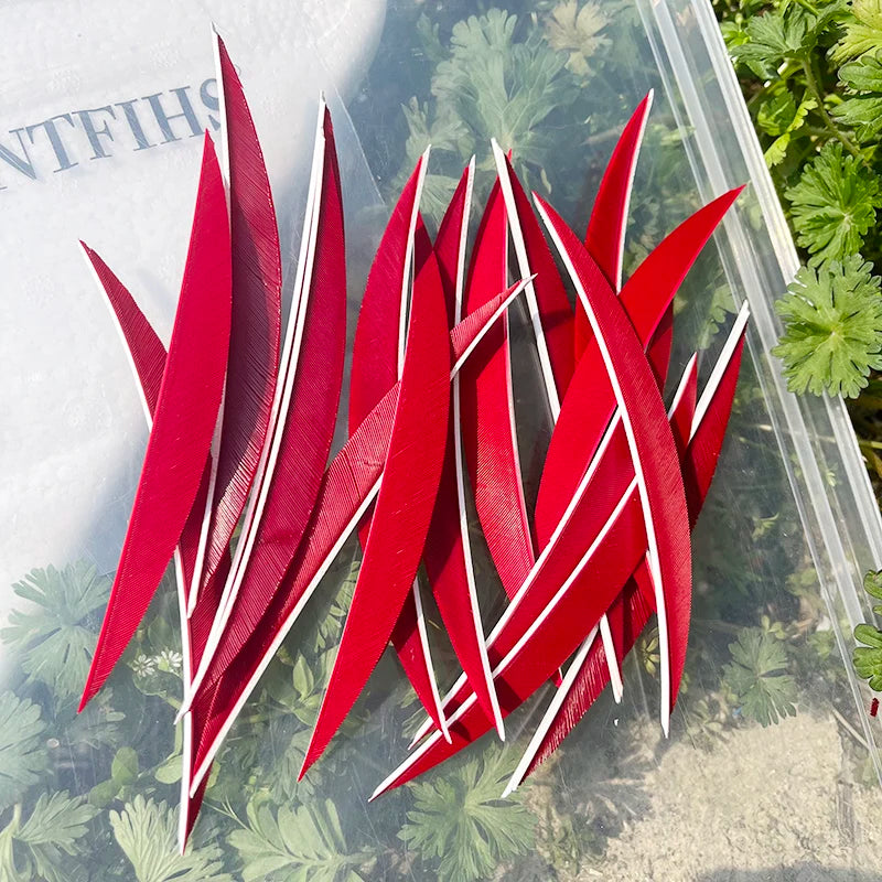 5 Inch Banana Arrow Feathers – Turkey Feather Archery Fletching | ONTFIHS