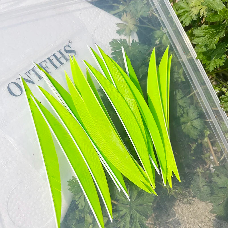 5 Inch Banana Arrow Feathers – Turkey Feather Archery Fletching | ONTFIHS