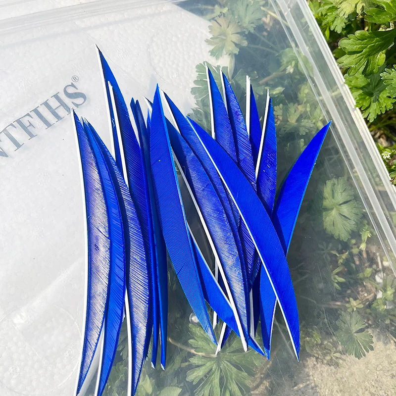 5 Inch Banana Arrow Feathers – Turkey Feather Archery Fletching | ONTFIHS