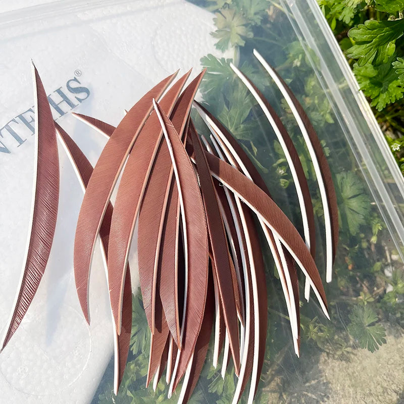 5 Inch Banana Arrow Feathers – Turkey Feather Archery Fletching | ONTFIHS