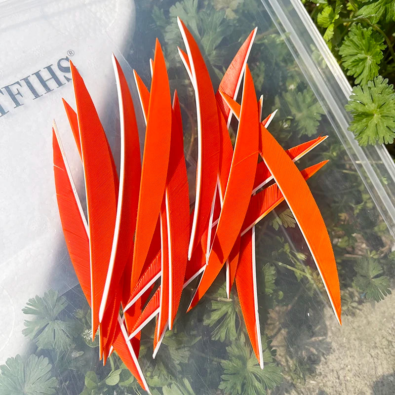 5 Inch Banana Arrow Feathers – Turkey Feather Archery Fletching | ONTFIHS