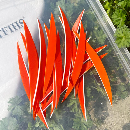 5 Inch Banana Arrow Feathers – Turkey Feather Archery Fletching | ONTFIHS