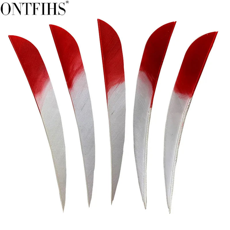 parabolic arrow feathers installed on archery arrows