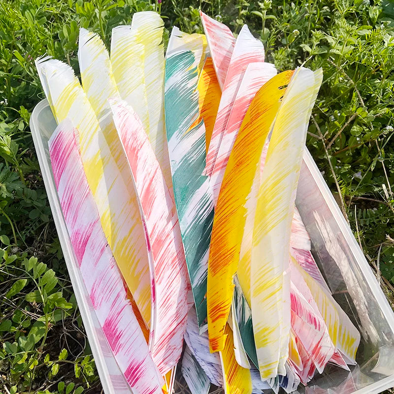 full length colorful archery arrow feathers