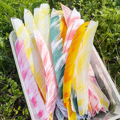 full length colorful archery arrow feathers