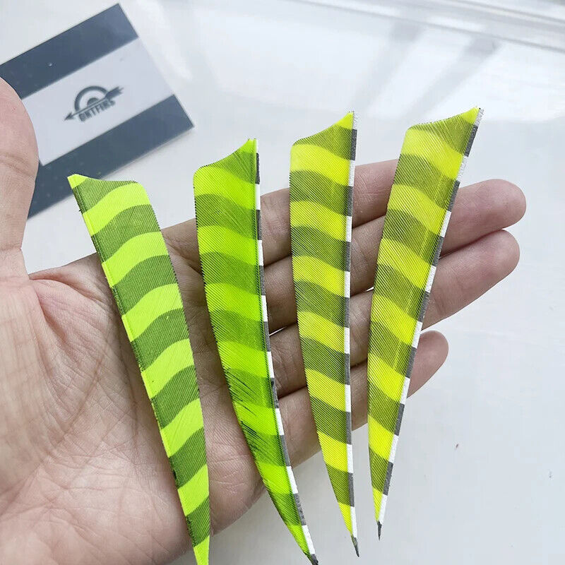 ONTFIHS barred arrow feather fletching