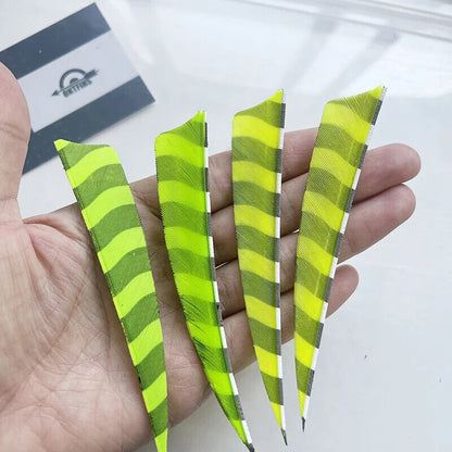 ONTFIHS barred arrow feather fletching