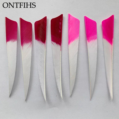 shield arrow feathers installed on archery arrows