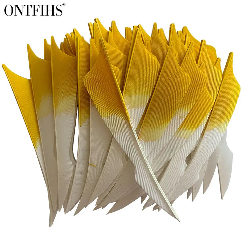 natural turkey feather arrow fletching close up detail